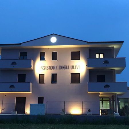 Pensione Degli Ulivi Porto SantʼElpidio Kültér fotó