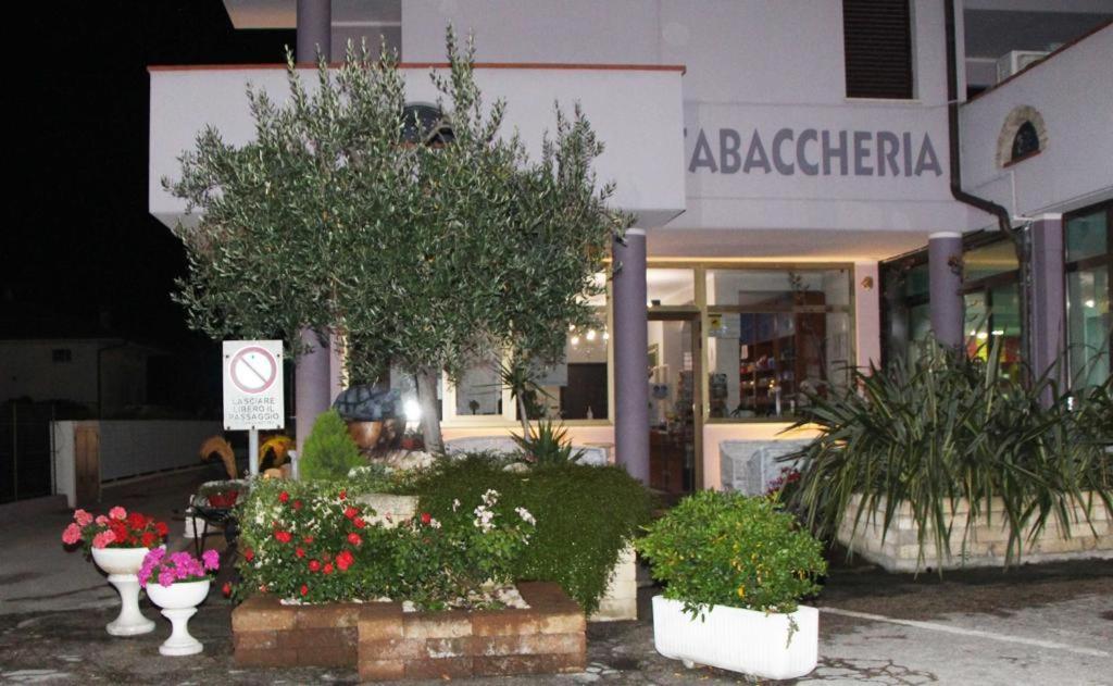 Pensione Degli Ulivi Porto SantʼElpidio Kültér fotó