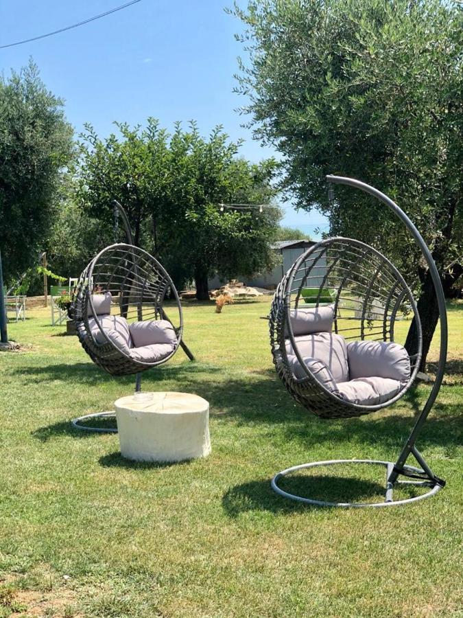 Pensione Degli Ulivi Porto SantʼElpidio Kültér fotó