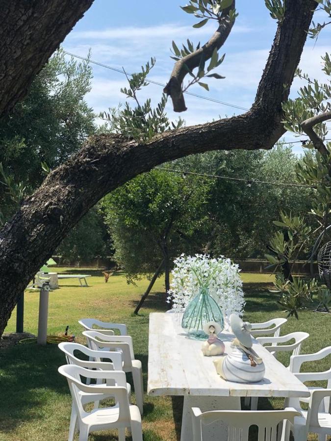 Pensione Degli Ulivi Porto SantʼElpidio Kültér fotó