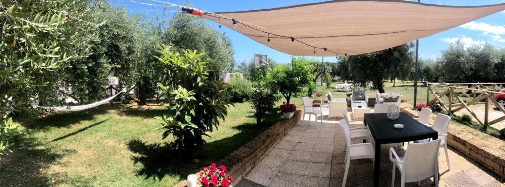 Pensione Degli Ulivi Porto SantʼElpidio Kültér fotó