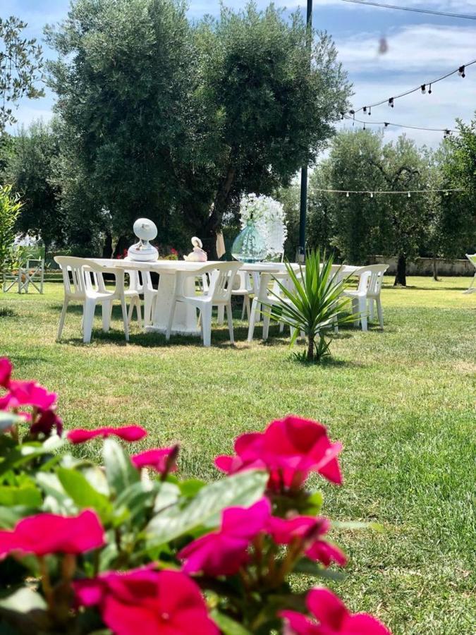 Pensione Degli Ulivi Porto SantʼElpidio Kültér fotó