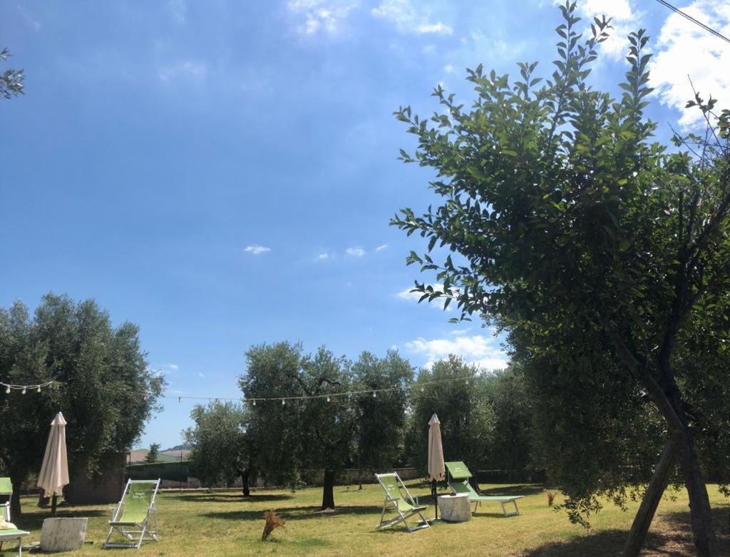 Pensione Degli Ulivi Porto SantʼElpidio Kültér fotó