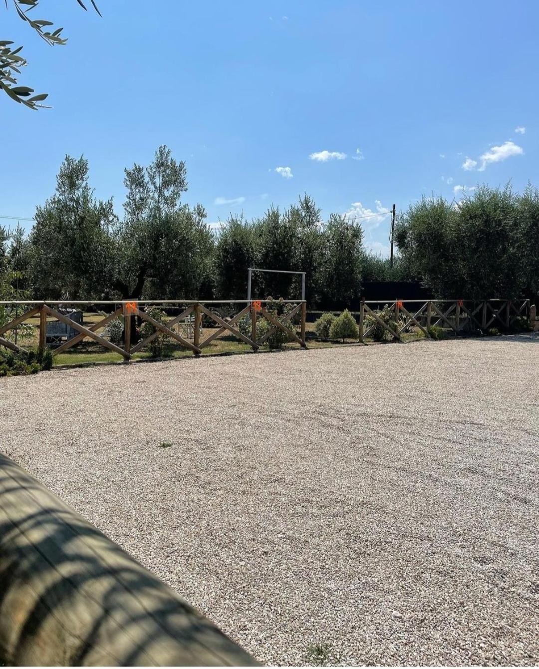 Pensione Degli Ulivi Porto SantʼElpidio Kültér fotó